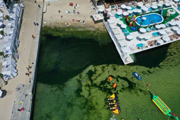 Пора цветения: в морской воде на пляжах Одессы бурно размножаются водоросли