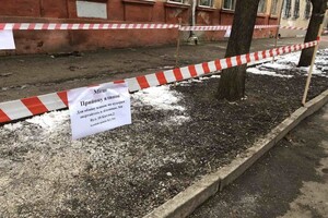 Куда сдать елку после праздников в Одессе: адреса