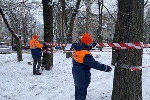 Куда сдать елку после праздников в Одессе: адреса