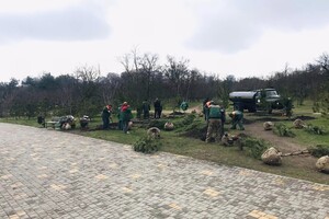В Парке победы высадили аллею сосен, которую подарили одесситы