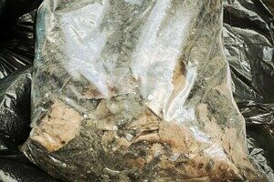 В Одессе химики собрали 30 килограмм грунта, загрязненного ртутью