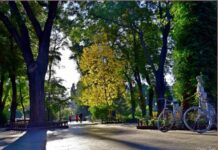 Заморозки и штормовое: какая погода будет в Одессе в эти выходные