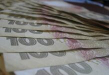 Десятки тисяч українців можуть залишитись без пенсій після перевірки ПФУ: хто в зоні ризику