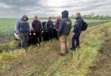 В Одесской области задержали правоохранителя: в чем его подозревают