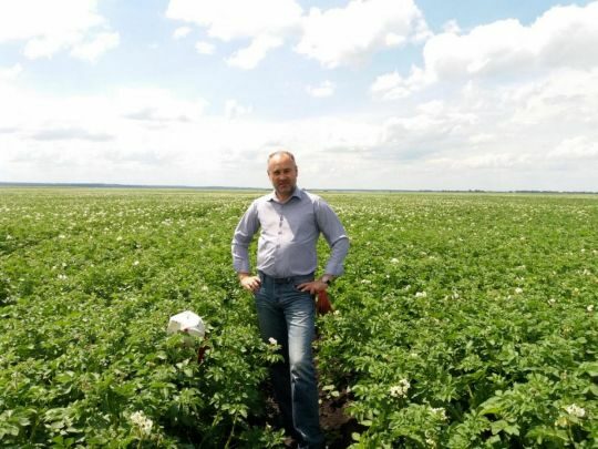 Чому ціни на&nbsp;молоду українську картоплю вдвічі вищі, аніж на&nbsp;завезену з&nbsp;Єгипту: роз&rsquo;яснення фахівця