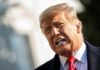 «Якщо це буде необхідно»: Трамп пояснив, коли застосує санкції проти росії