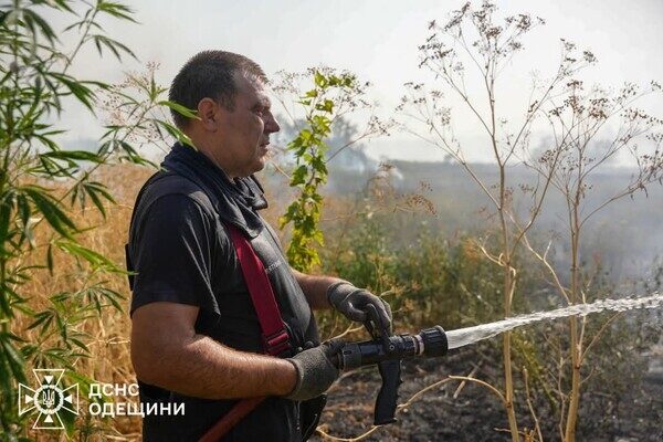 В Одессе чувствовался сильный запах гари: что произошло