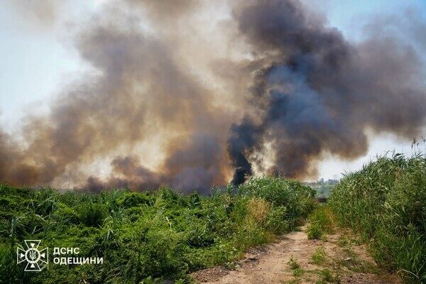 В Одессе чувствовался сильный запах гари: что произошло