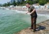 На пляжах Одессы проверили воду на мазут: результаты обнадеживают