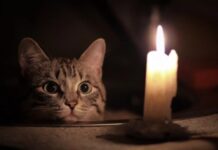 Пятница с отключениями: где в Одессе до вечера не будет света