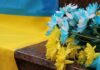 Ініціатива нардепа Яценка викликала обурення Уманської громади: що про це відомо