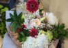Який букет подарувати педагогу на День вчителя: які квіти не варто включати до композиції