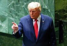 Трамп готовит новые тарифы: под ударом лекарства, грузовики и мебель