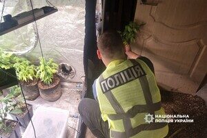 Кокаин в багажнике и домашняя плантация конопли: в Одессе разоблачили наркодельца