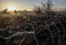 ЮАР расследует участие своих граждан в военных действиях на Донбассе