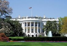США тиснуть на Київ: Вашингтон пропонує Зеленському «мирний план» із поступками територіями та зброєю