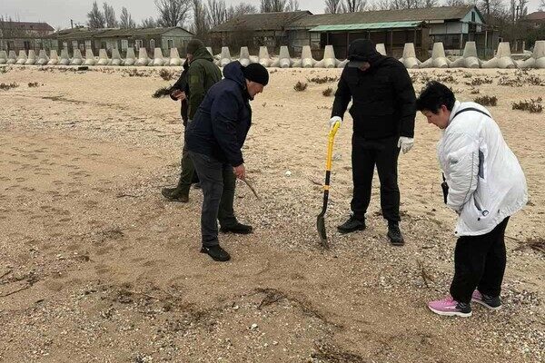 В Одесской области обнаружили загрязнение побережья: где именно и чем В Одесской области обнаружили загрязнение побережья: где именно и чем