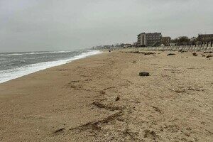 В Одесской области обнаружили загрязнение побережья: где именно и чем В Одесской области обнаружили загрязнение побережья: где именно и чем