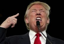 Гренландський гамбіт Трампа: дипломатія Вашингтона створює проблеми для союзників