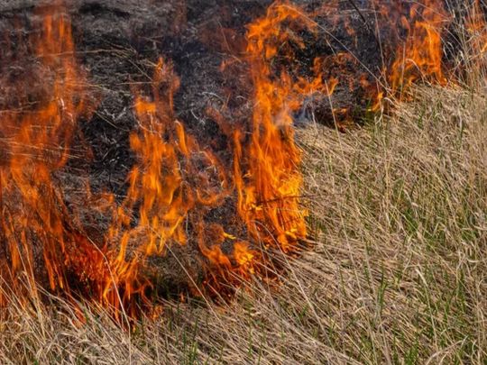 Штрафи до 20 тисяч: за що штрафують українців і як цього уникнути
