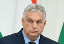 Не на те звертав увагу: ЗМІ пояснило причини поразки Орбана
