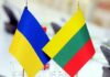 Перевірка на «ватність»: у Литві посадовця покарали відрядженням до України через позицію щодо Криму