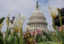 Сенат США отклонил резолюцию об ограничении военных полномочий Трампа в Иране