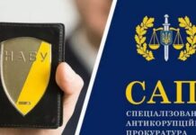 «Піар замість розслідувань»: Власенко розкритикував роботу НАБУ та САП